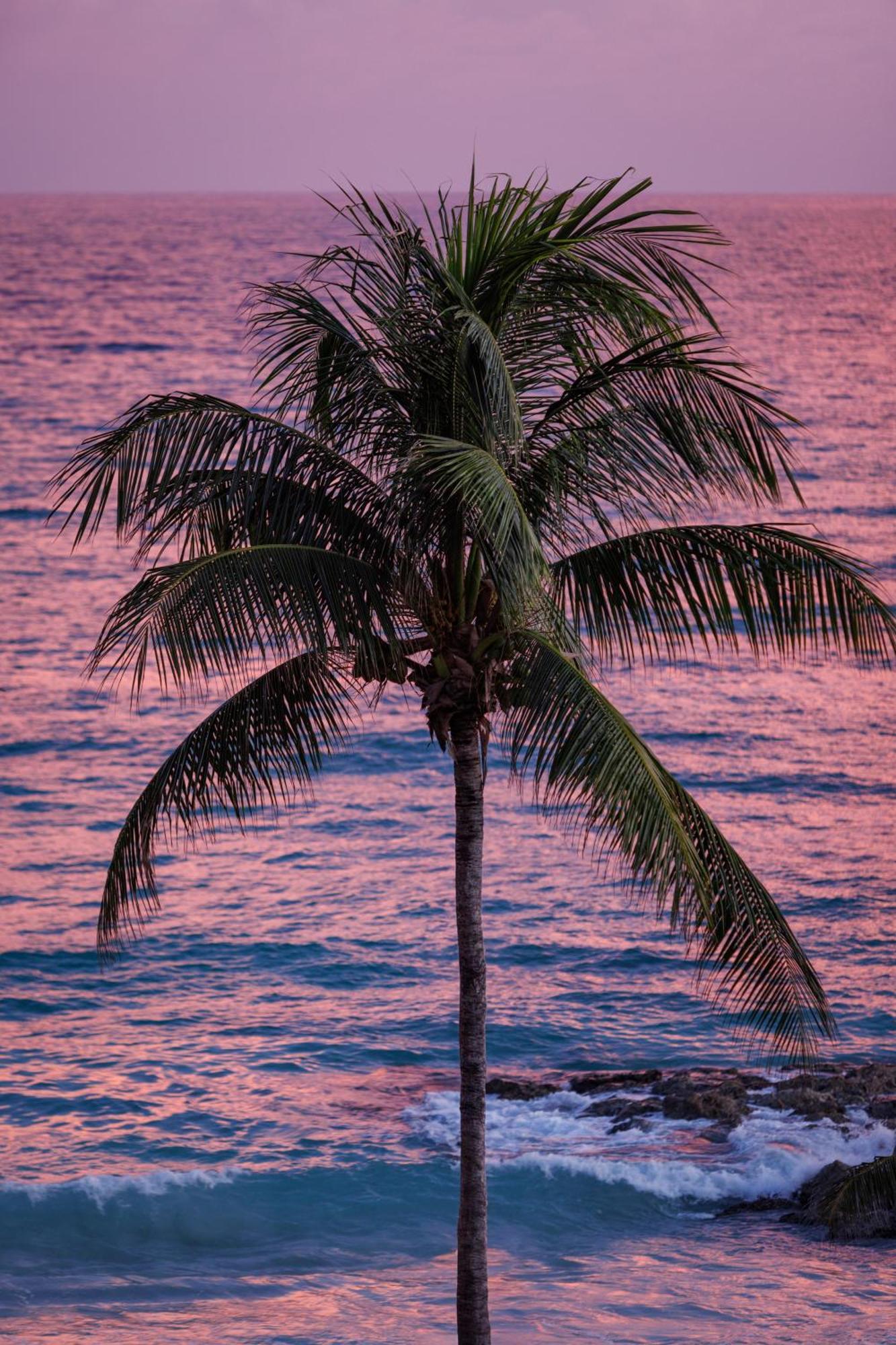 Sandals Barbados All Inclusive - Couples Only (Adults Only) Κράιστ Τσερτς Εξωτερικό φωτογραφία
